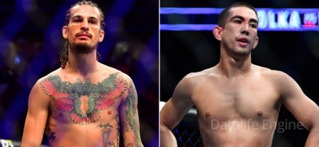 Predictions for the fight Sean O'Malley – Louis Smolka